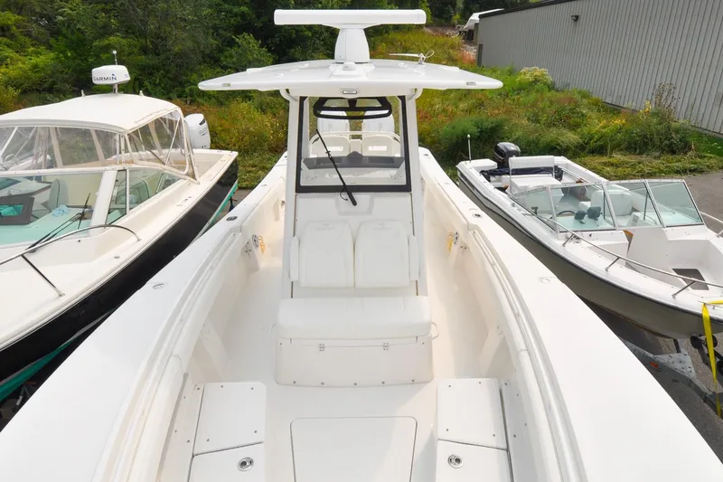 Slide: The Image of Regulator 31 - Blue Fox - 69