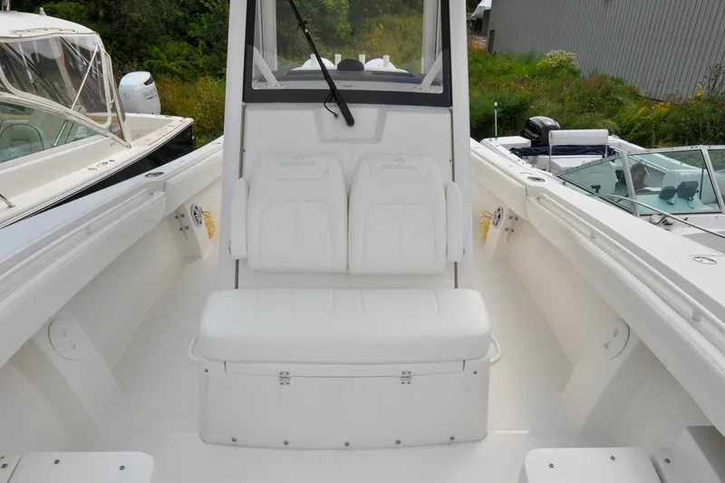 Slide: The Image of Regulator 31 - Blue Fox - 70