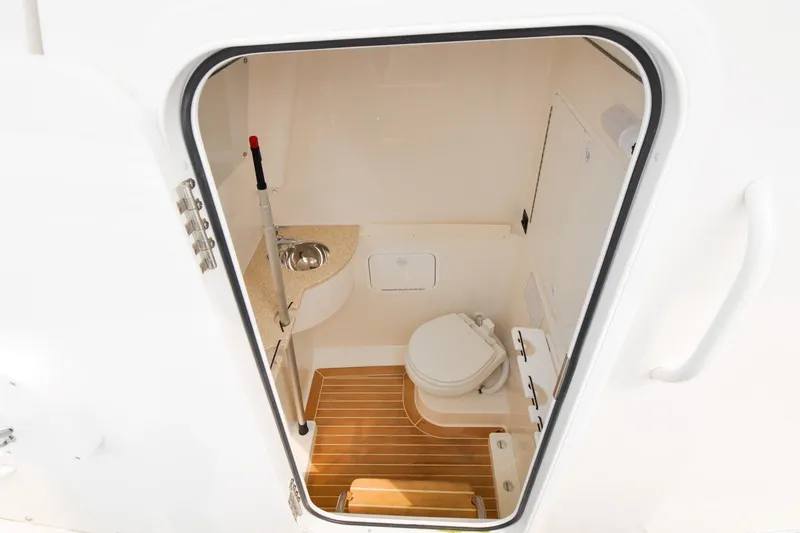 Slide: The Image of Regulator 31 - Blue Fox - 71