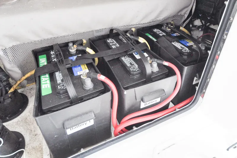 Slide: The Image of Regulator 31 - Blue Fox - 73