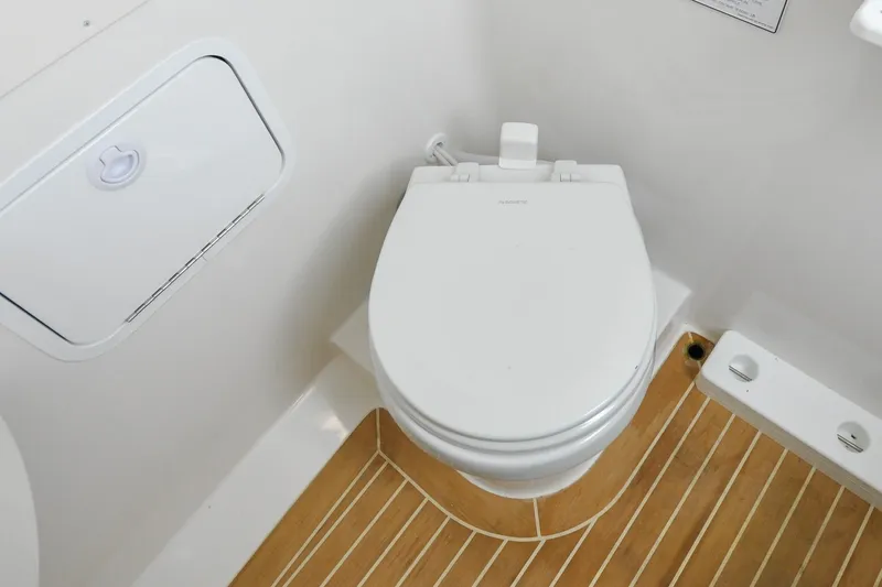 Slide: The Image of Regulator 31 - Blue Fox - 75