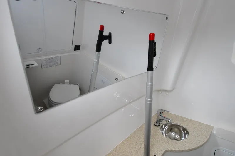 Slide: The Image of Regulator 31 - Blue Fox - 76