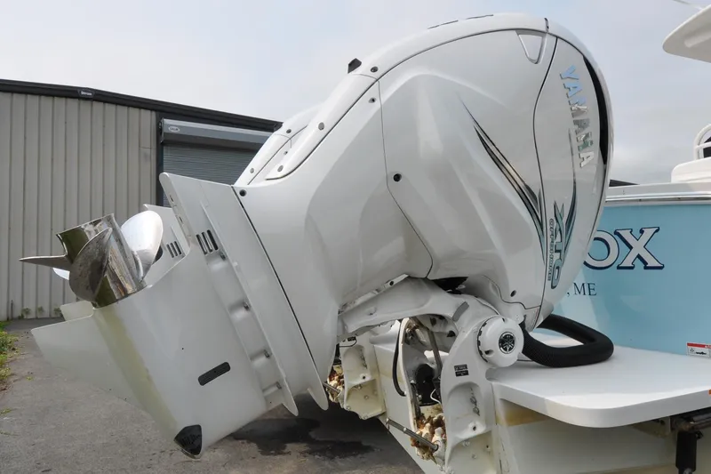 Slide: The Image of Regulator 31 - Blue Fox - 9