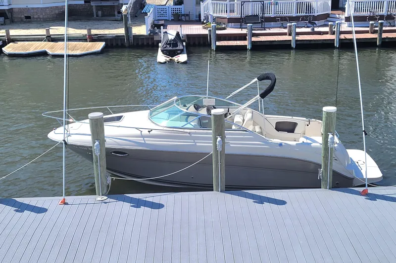 The Image of 2006 Sea Ray Amberjack 250 - 1