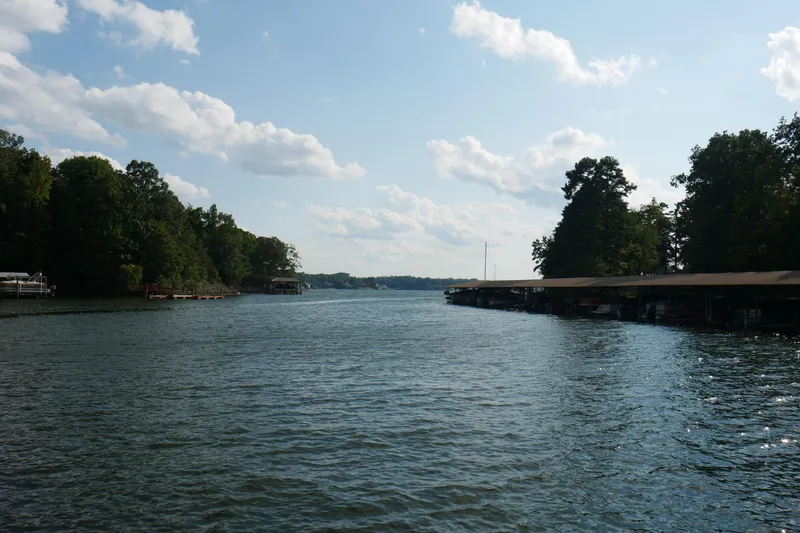 Slide: The Image of 1996 STARDUST Cruiser boat with blue canopy, docked near lush greenery. - 55