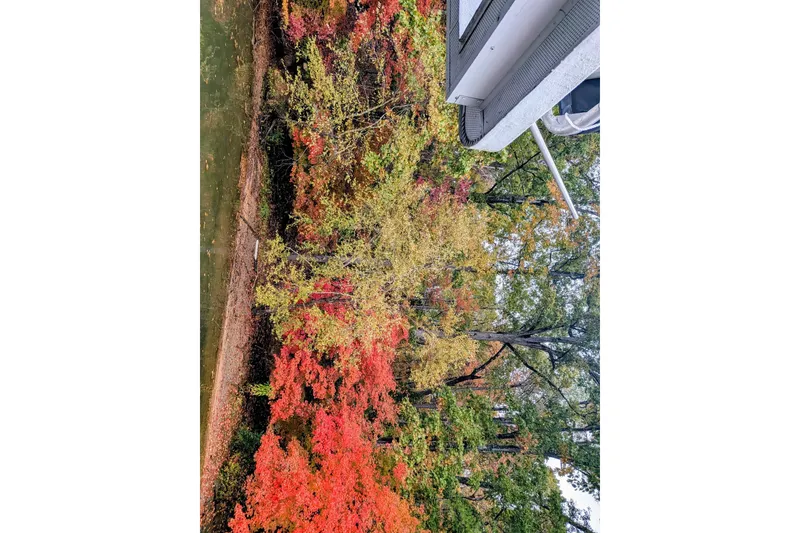 Slide: The Image of 1996 Stardust Cruiser boat overlooking vibrant autumn foliage by a serene riverbank. - 65