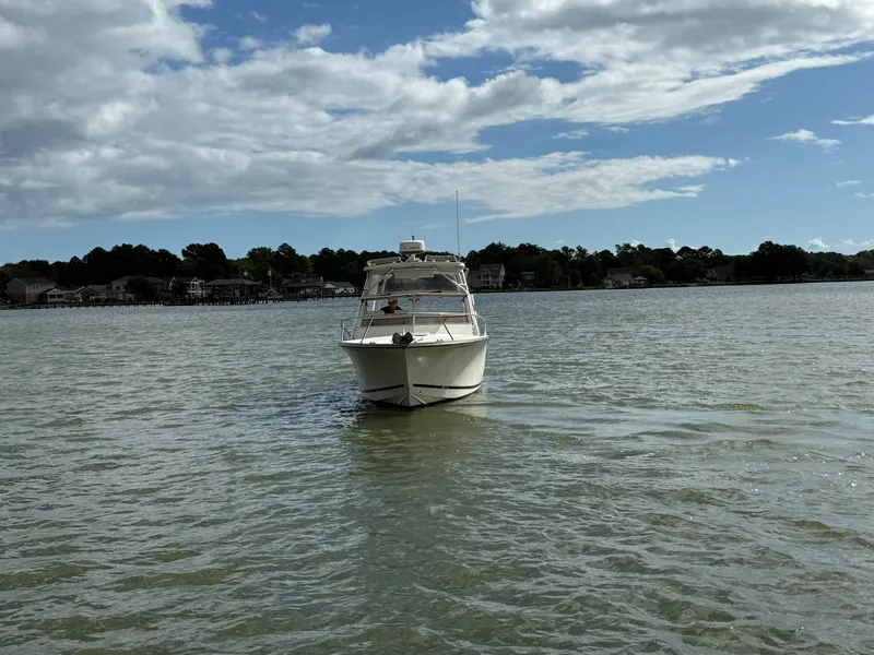 Slide: The Image of Carolina 25 Express 2006 - 3