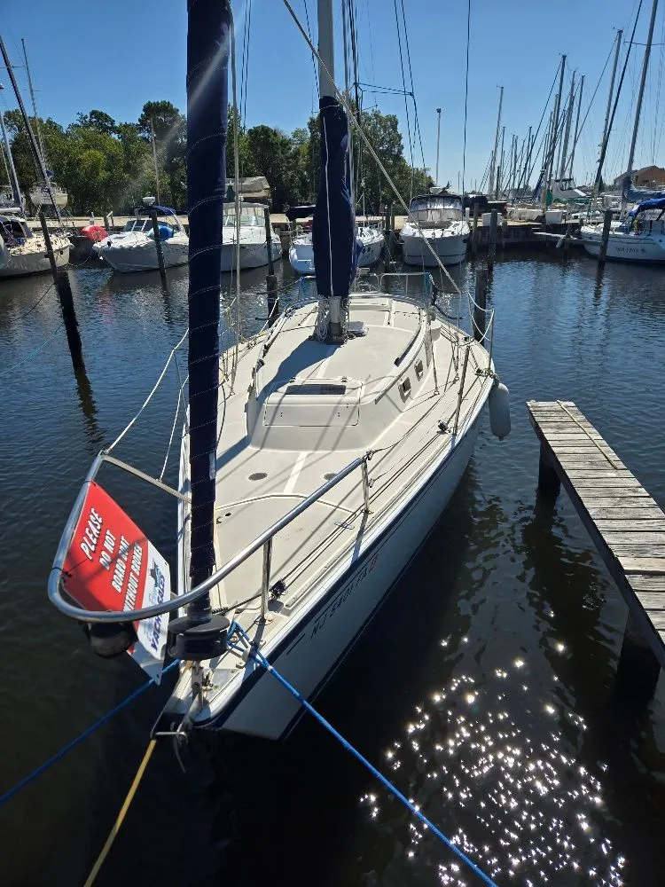 Slide: The Image of O'Day 30 1984 - 3