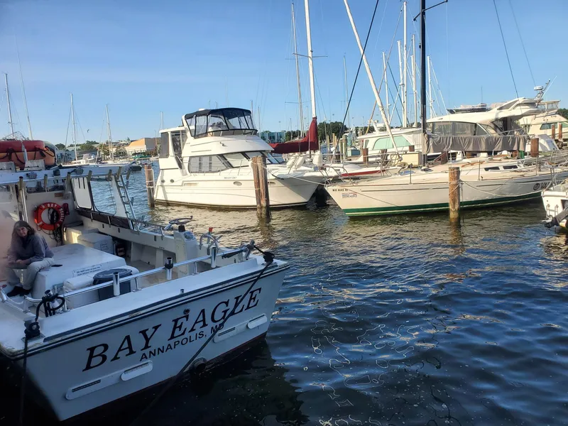Slide: The Image of Boats docked at a marina, featuring a 2000 Carver 356 Aft Cabin Motor Yacht. - 1