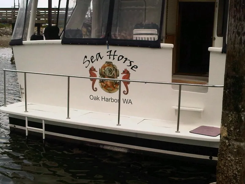 Slide: The Image of Integrated swimstep - 3