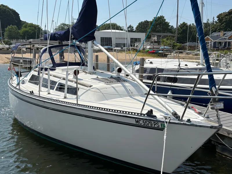 Slide: The Image of S2 8.5 1982 - 2