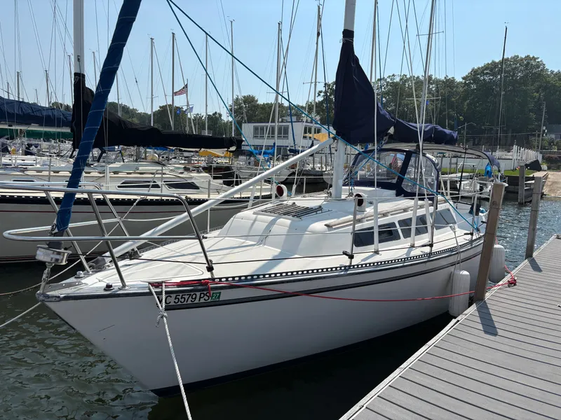 Slide: The Image of S2 8.5 1982 - 3