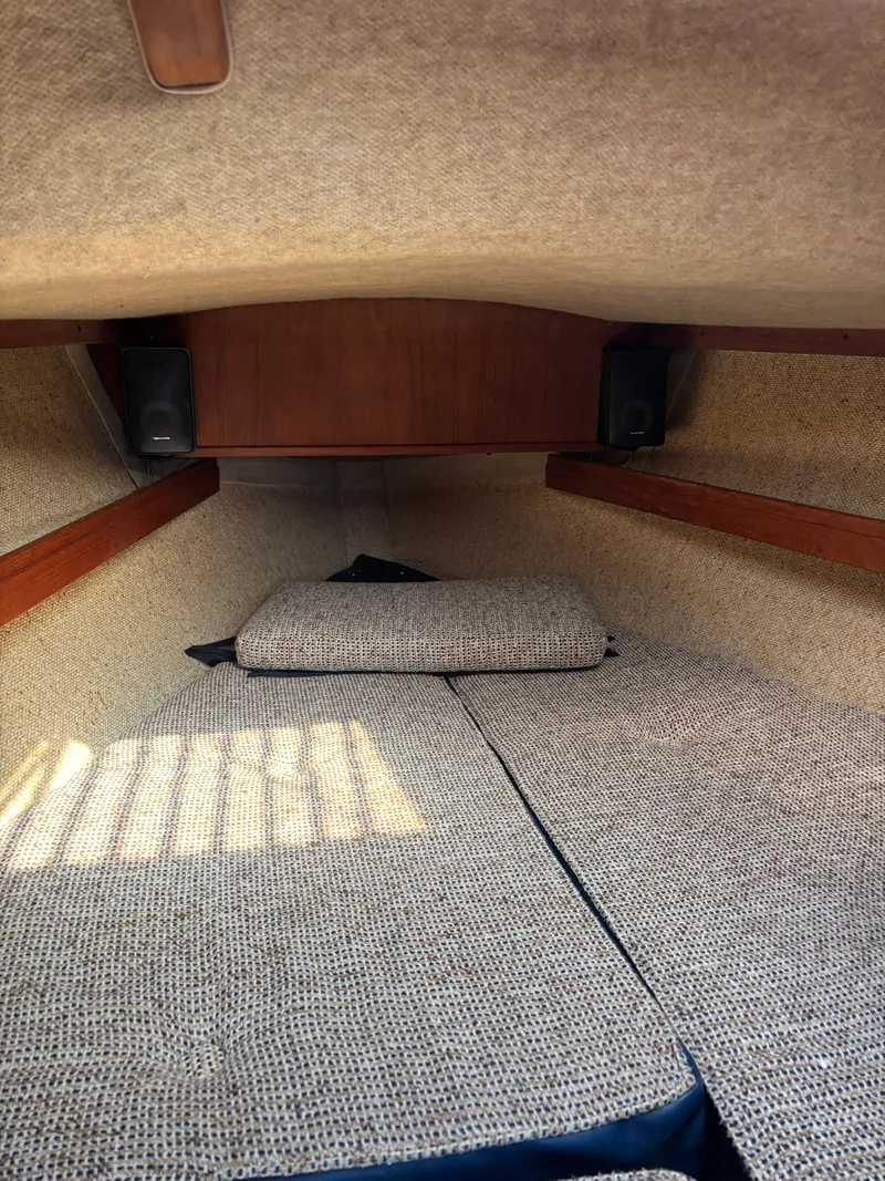 Slide: The Image of S2 8.5 1982 - 65