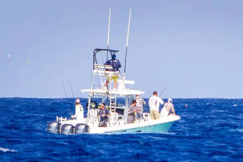 Slide: The Image of Manufacturer Provided Image - 6