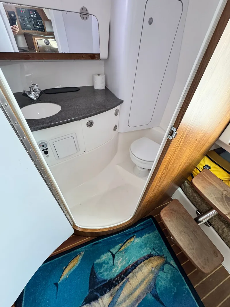 Slide: The Image of Everglades 320EX 2013 - 11