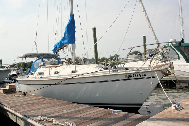 Slide: The Image of 1988 Pearson 31 sailboat docked at marina with blue sail cover. - 2