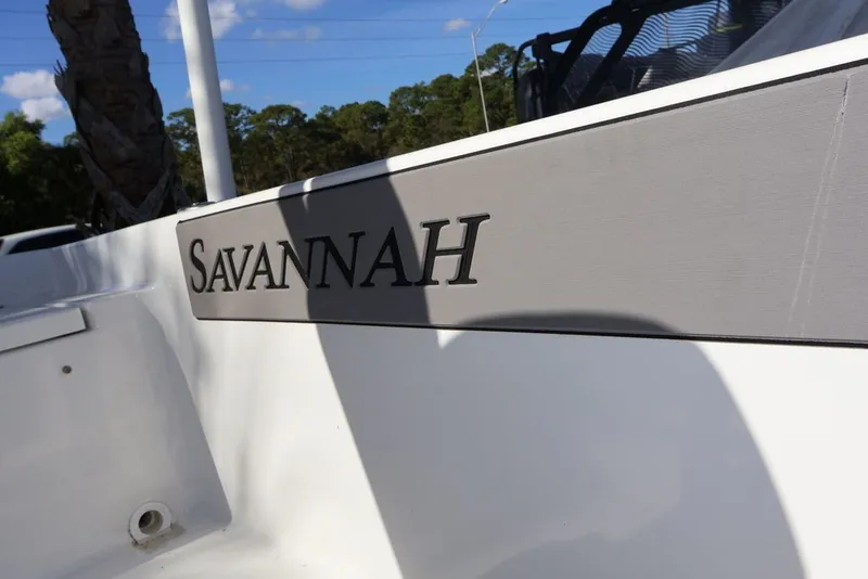 Slide: The Image of Savannah Savannah 210 X 2024 - 10