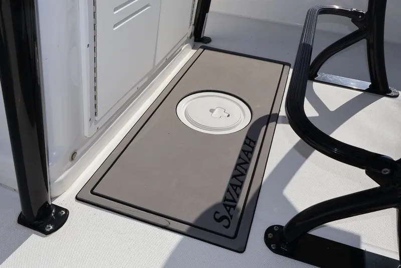 Slide: The Image of Savannah Savannah 210 X 2024 - 12