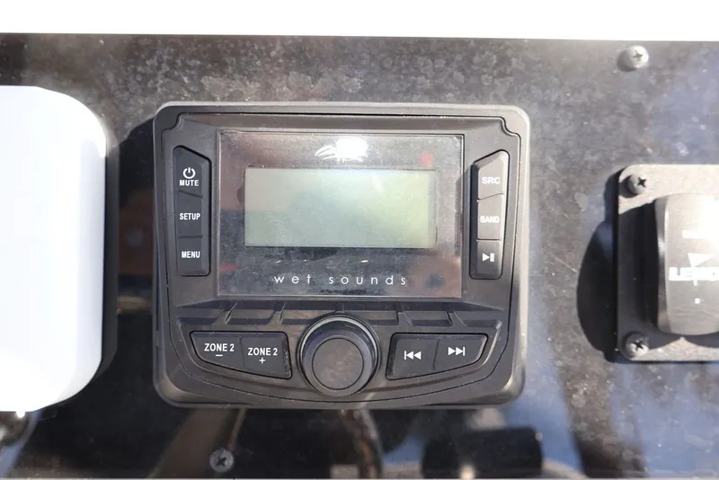 Slide: The Image of Savannah Savannah 210 X 2024 - 15