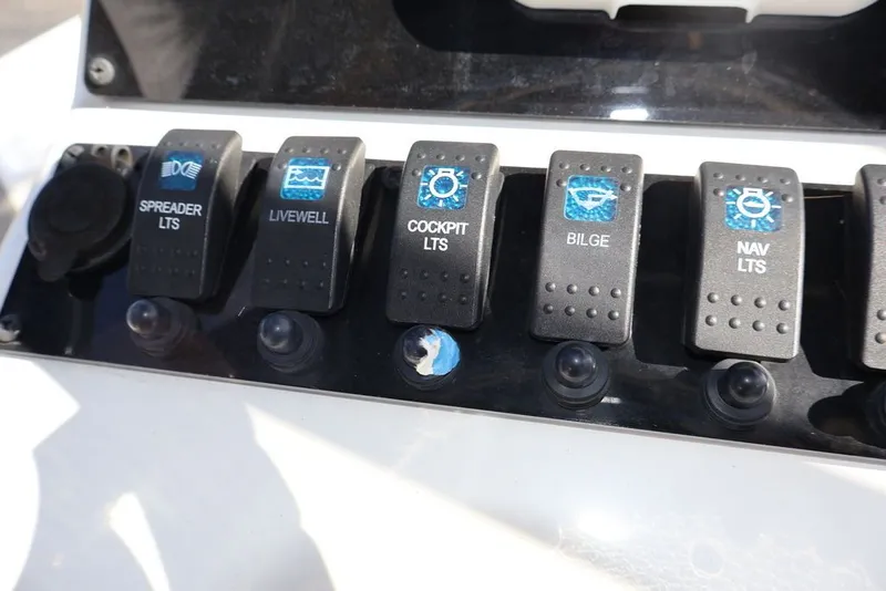 Slide: The Image of Savannah Savannah 210 X 2024 - 18