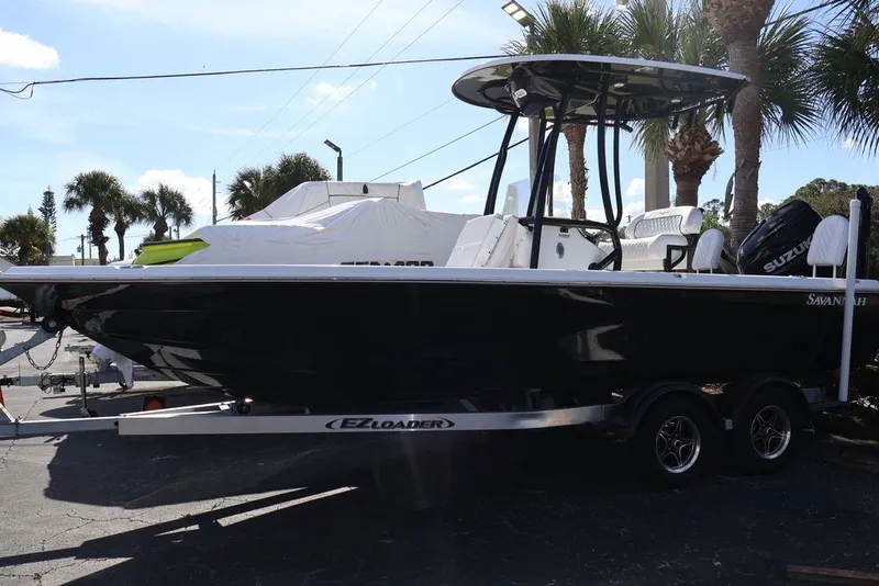 Slide: The Image of Savannah Savannah 210 X 2024 - 2