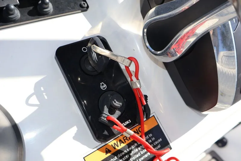 Slide: The Image of Savannah Savannah 210 X 2024 - 20