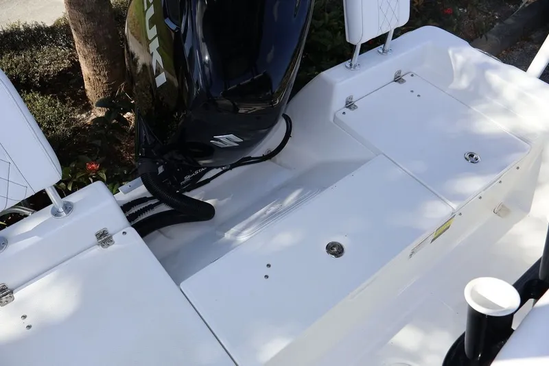 Slide: The Image of Savannah Savannah 210 X 2024 - 23