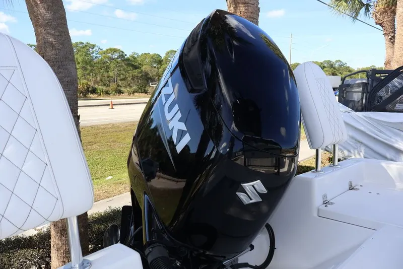 Slide: The Image of Savannah Savannah 210 X 2024 - 24