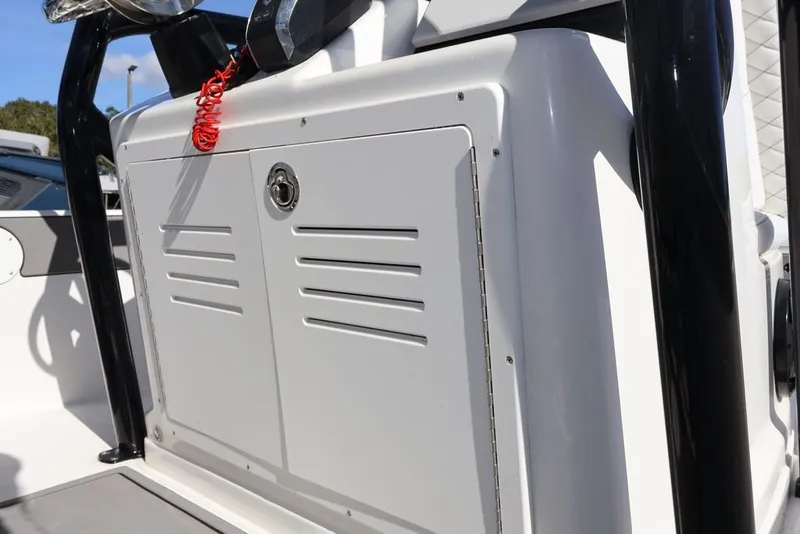 Slide: The Image of Savannah Savannah 210 X 2024 - 25