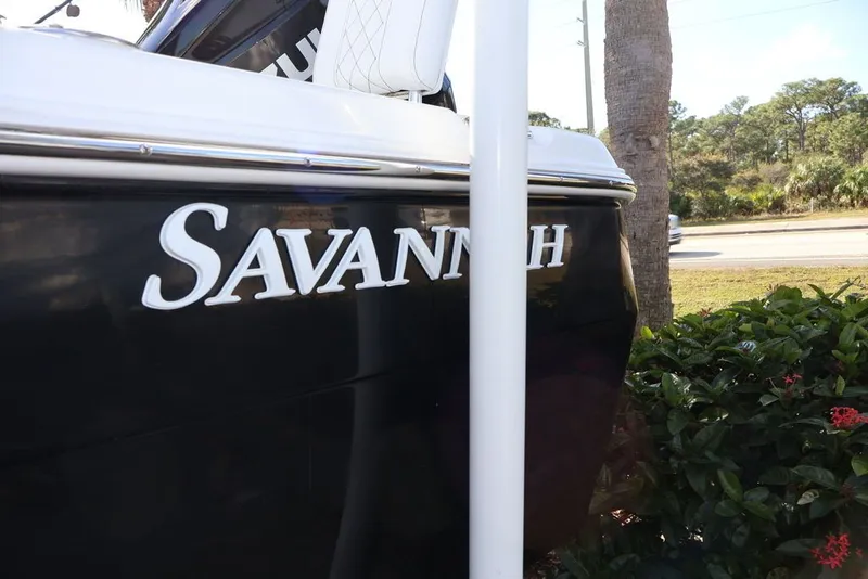 Slide: The Image of Savannah Savannah 210 X 2024 - 3