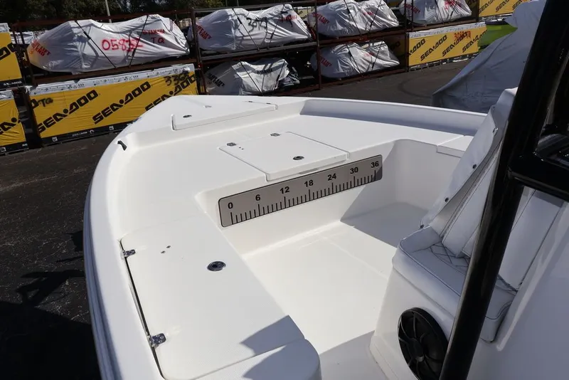 Slide: The Image of Savannah Savannah 210 X 2024 - 4