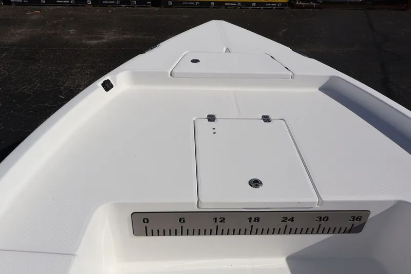 Slide: The Image of Savannah Savannah 210 X 2024 - 5