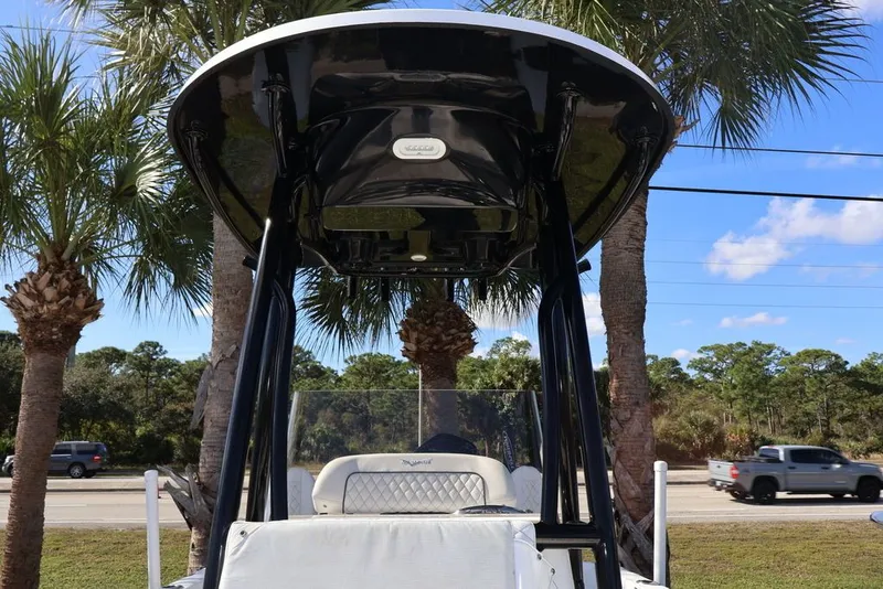 Slide: The Image of Savannah Savannah 210 X 2024 - 8