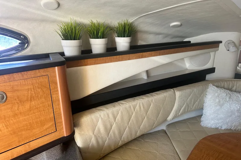 Slide: The Image of Interior of 2006 Sea Ray 260 Sundancer with plants and cozy seating area. - 43