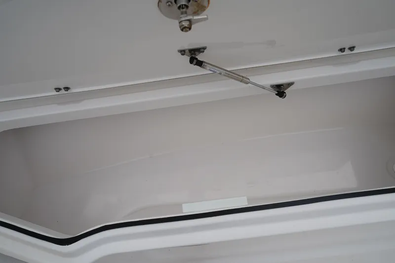 Slide: The Image of Storage compartment of 2020 Sea Fox 328 Commander boat, featuring hydraulic support. - 64