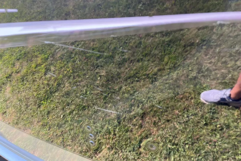 Slide: The Image of 2013 Lund 1875 Pro-V IFS boat on grass, partial view with sneaker. - 31