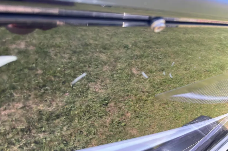 Slide: The Image of Reflection on 2013 Lund 1875 Pro-V IFS boat, showing grassy background. - 32