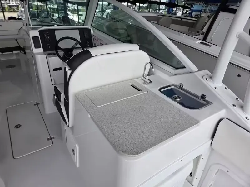 Slide: The Image of Stingray 259 DC 2026 - 5