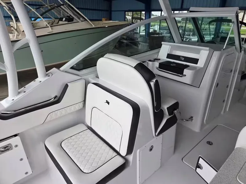 Slide: The Image of Stingray 259 DC 2026 - 8