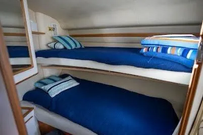 Slide: The Image of 1997 Sea Ray 400 Express Cruiser cabin with bunk beds and blue bedding. - 28