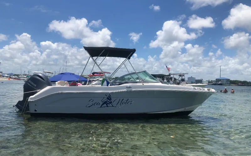 The Image of Robalo R207 Dual Console 2019 - 0