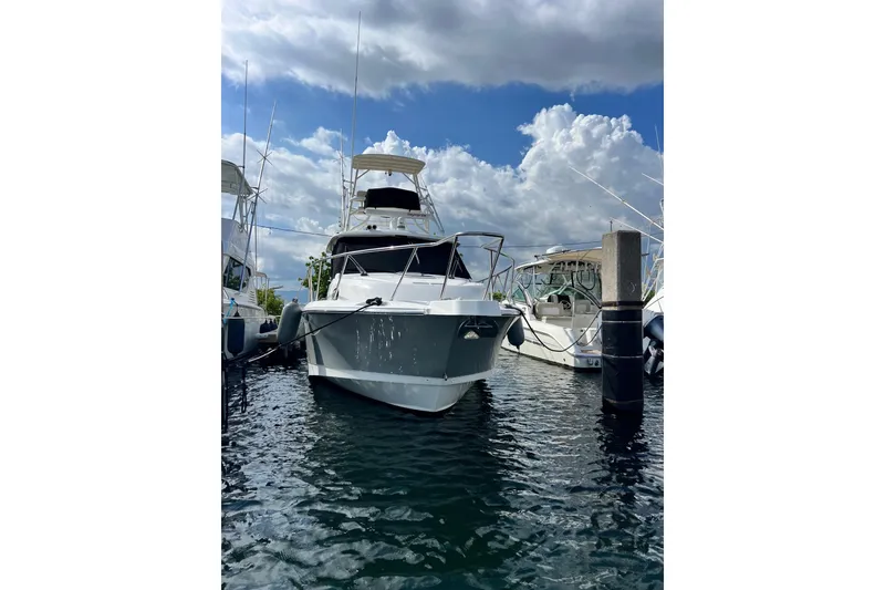 Slide: The Image of 2018 Boston Whaler 345 Conquest docked under a cloudy sky. - 3