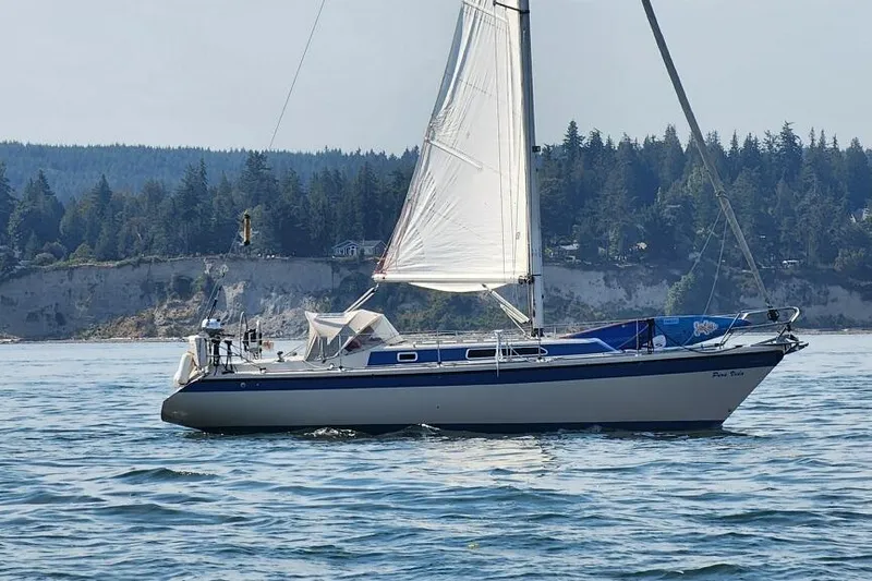 The Image of Sailing yacht Dehler 372 from 1985 on calm waters with forested shoreline. - 0