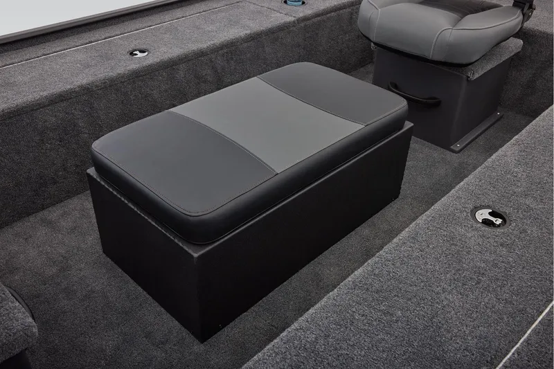 Slide: The Image of Tracker Panfish 17 2026 - 33