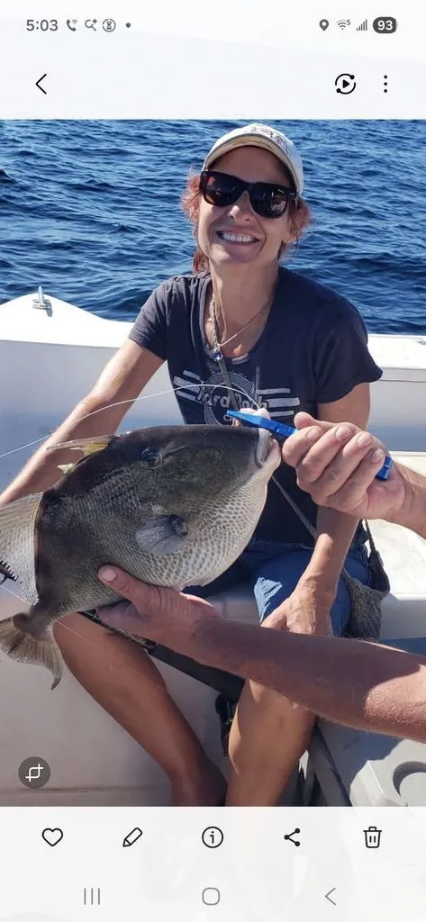 Slide: The Image of Angler 190 C CC-OB 2000 - 25