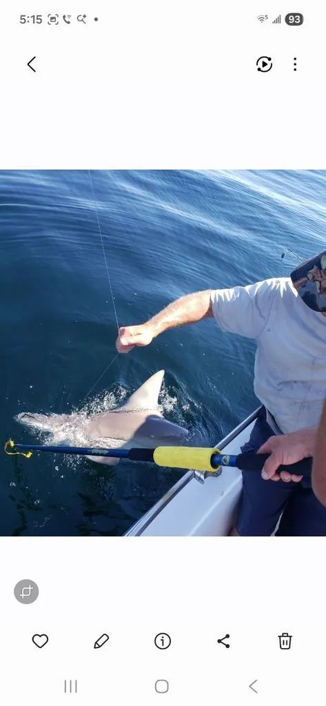 Slide: The Image of Angler 190 C CC-OB 2000 - 27