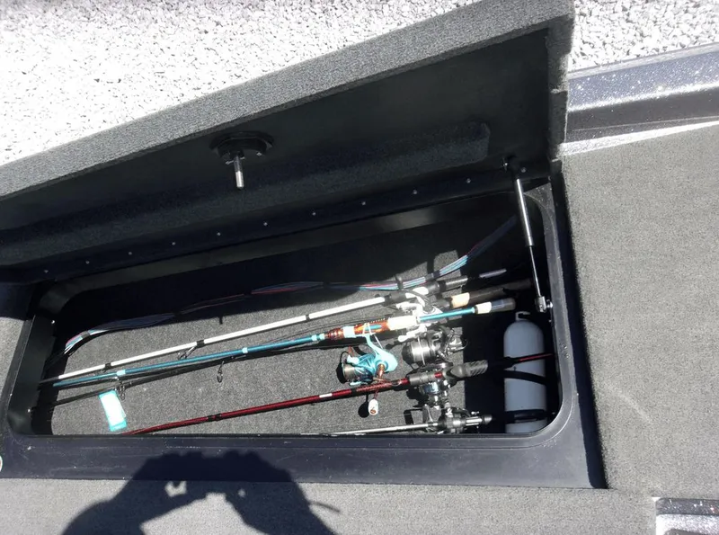 Slide: The Image of Skeeter 250 Zx 2017 - 7