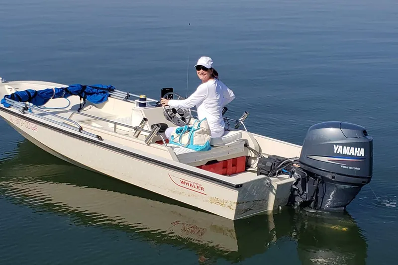 The Image of 1991 Boston Whaler 15 GLS boat with Yamaha engine on calm water. - 1