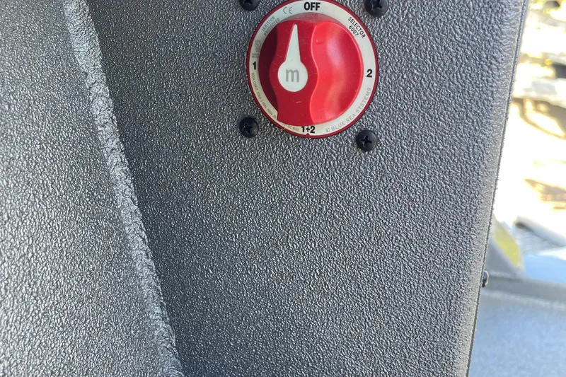 Slide: The Image of Red switch on Excel Buoy 10, 2025 model, textured surface background. - 19