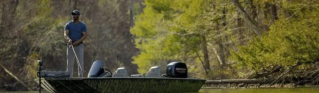 Slide: The Image of Lowe Stinger 175C 2026 - 4